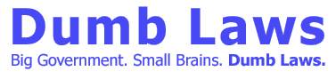 Dumb Laws.  Big Government. Small Brains. Dumb Laws.